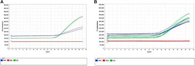 Validation of Single Nucleotide Variant Assays for Human Leukocyte Antigen Haplotypes HLA-B*15:02 and HLA-A*31:01 Across Diverse Ancestral Backgrounds